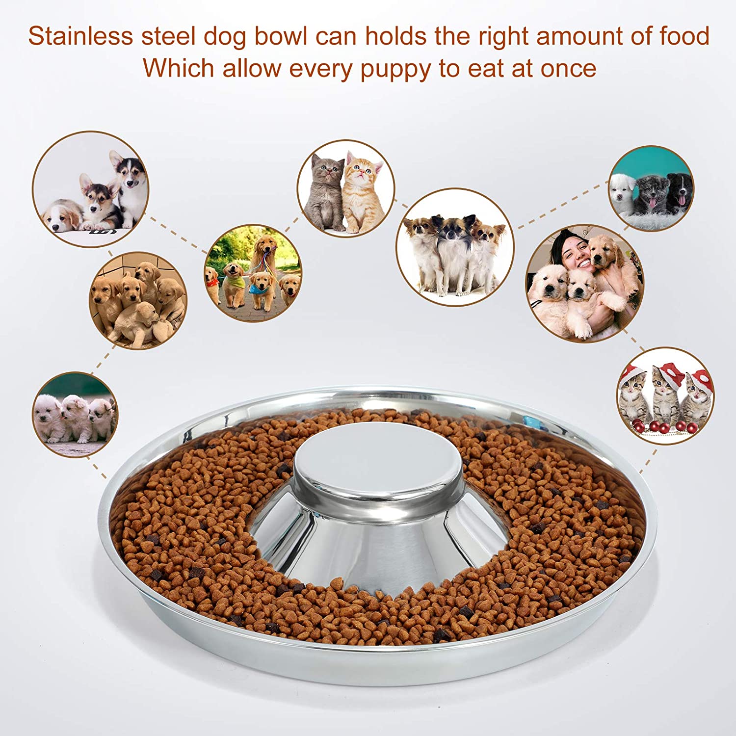 TiokMc Stainless Steel Raised Slow Feed Bowl photo 4