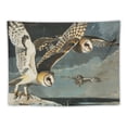 thumbnail image 5 of Orinice Owls Flying Water Tapestry Wall Hanging Unique Style for Home Decor 50x40inch, 5 of 6
