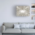 thumbnail image 3 of Studio W 'White Burst II' Canvas Art, 3 of 3