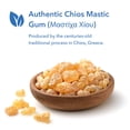 thumbnail image 3 of ARG Mastica Digestive Support - Supports Digestive Comfort - Delivers 1000 mg Chios Mastic Gum Resin per Serving - Vegetarian & Hypoallergenic - 60 Servings - 120 Capsules, 3 of 6