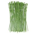 thumbnail image 1 of 50 Pcs Flower Stem Artificial Flower Head Accessory Short Stem Flowers Arrangement Artificial Flower Head Accessory Diy Making Flower Rod (green), 1 of 3