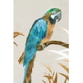 thumbnail image 2 of Isabelle Z 11x14 White Modern Wood Framed Museum Art Print Titled - Blue Parrot I, 2 of 4