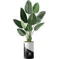 thumbnail image 4 of Artificial Tree in Contemporary Planter, Fake Bird of Paradise Silk Tree for Indoor and Outdoor Home Decoration - 58" Overall Tall (Plant Pot Plus Tree), 4 of 5