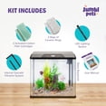 JumblPets Starter Small 10 Gallon Glass Aquarium Starter Kit with LED ...