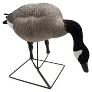 Final Approach Live Full Body Feeder Honkers, Decoy 4 Pack