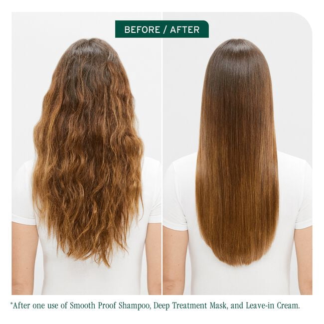 SmoothProof Leave-In Cream for Frizzy Hair SmoothProof by Biolage 6.8 oz