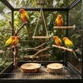 thumbnail image 1 of Soporte de descanso para loro de madera natural con ramas de árboles frutales para aves pequeñas, juguete para desgaste de garras y pico, soporte ajustable para jaula, reemplazable y lavable., 1 of 6