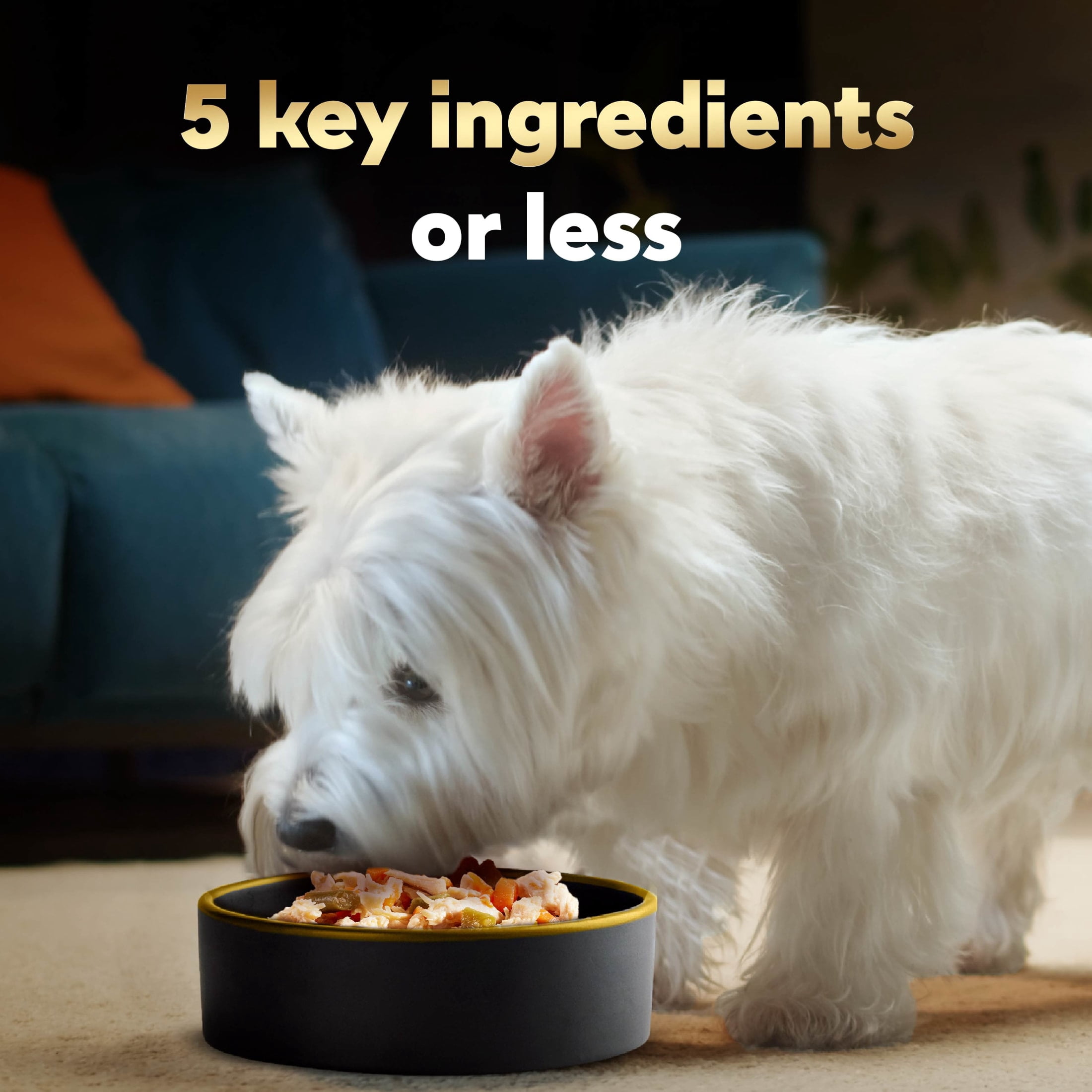 (12 pack) Cesar Simply Crafted Chicken Variety Pack Wet Dog Food Meal Toppers, 1.3 oz Tubs (8 Count)