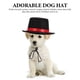 thumbnail image 2 of KAKOWELY Sombrero de disfraz para perro, divertido sombrero para mascota, sombrero para gatito, sombrero decorativo para mascota, sombrero de fiesta para cosplay de mascota, 2 of 4