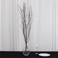 thumbnail image 4 of BalsaCircle 6 Natural Extra Long 46" Decorative Birch Tree Branches Vase Fillers Rustic Dried Twigs Sticks Wedding Party, 4 of 8