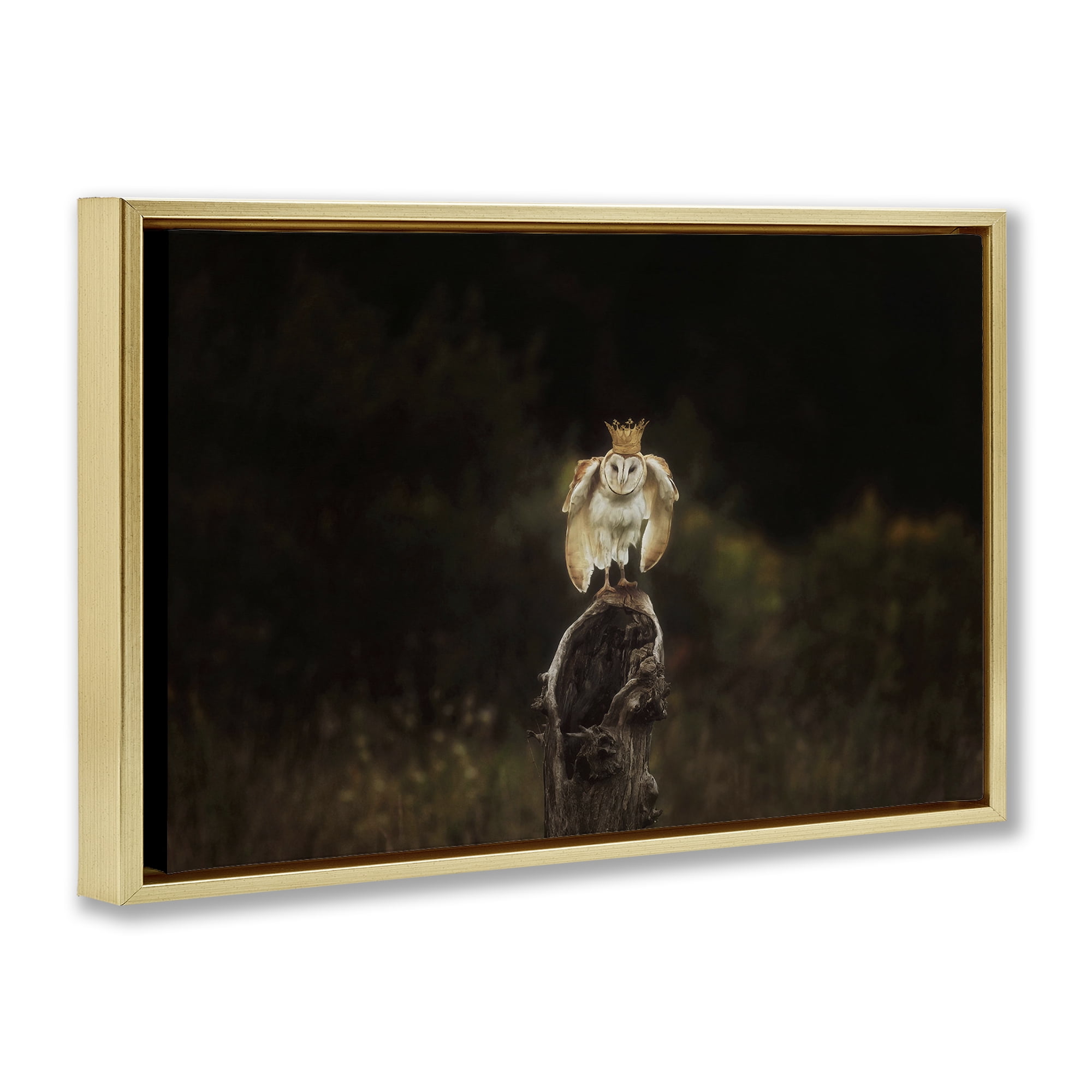 Stupell Industries Crowned Owl Perched Animals & Insects Photography Gold Floater Framed Canvas Art Print Wall Art, 31 x 21