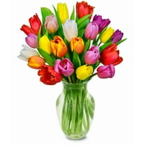 From You Flowers - Rainbow Tulip Bouquet - 20 Stems for Birthday, Anniversary, Get Well, Congratulations, Thank You, All Occasions