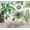 Color 2, variant on Wallpaper Tropical Plant Banana Leaf Banana Leaves Palm Fronds Peel and Stick Wall Murals 69"H x 96"W Removable PVC Wall Paper Self-Adhesive Wall Paintings Art Decor for Bedroom Living Room