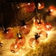 thumbnail image 4 of Guirnalda de 20 luces LED de manzana, de malla metálica y funciona con pilas, ideal para dormitorio, boda, interior/exterior, fiesta, 1 paquete, 3 metros de largo., 4 of 5