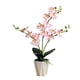 thumbnail image 1 of Flor falsa de tres puntas phalaenopsis bonsái de escritorio pequeña planta decorativa decoración flor artificial planta verde artificial, 1 of 5