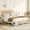 Rattan White, variant on DSstyles Full Size Rattan Bed Frame with Headboard, Modern Style Cane Boho Bed Frames with Heavy Duty Sturdy Steel Slat Support, No Box Spring Needed, White