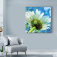 thumbnail image 3 of Trademark Fine Art 'Daisies I' Canvas Art by Ingrid Blixt, 3 of 4