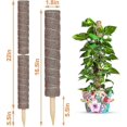 thumbnail image 2 of 2pcs plant holder Monstera Plant Holder For Indoor Plants Climbing Up Moss Rods, 2 of 4