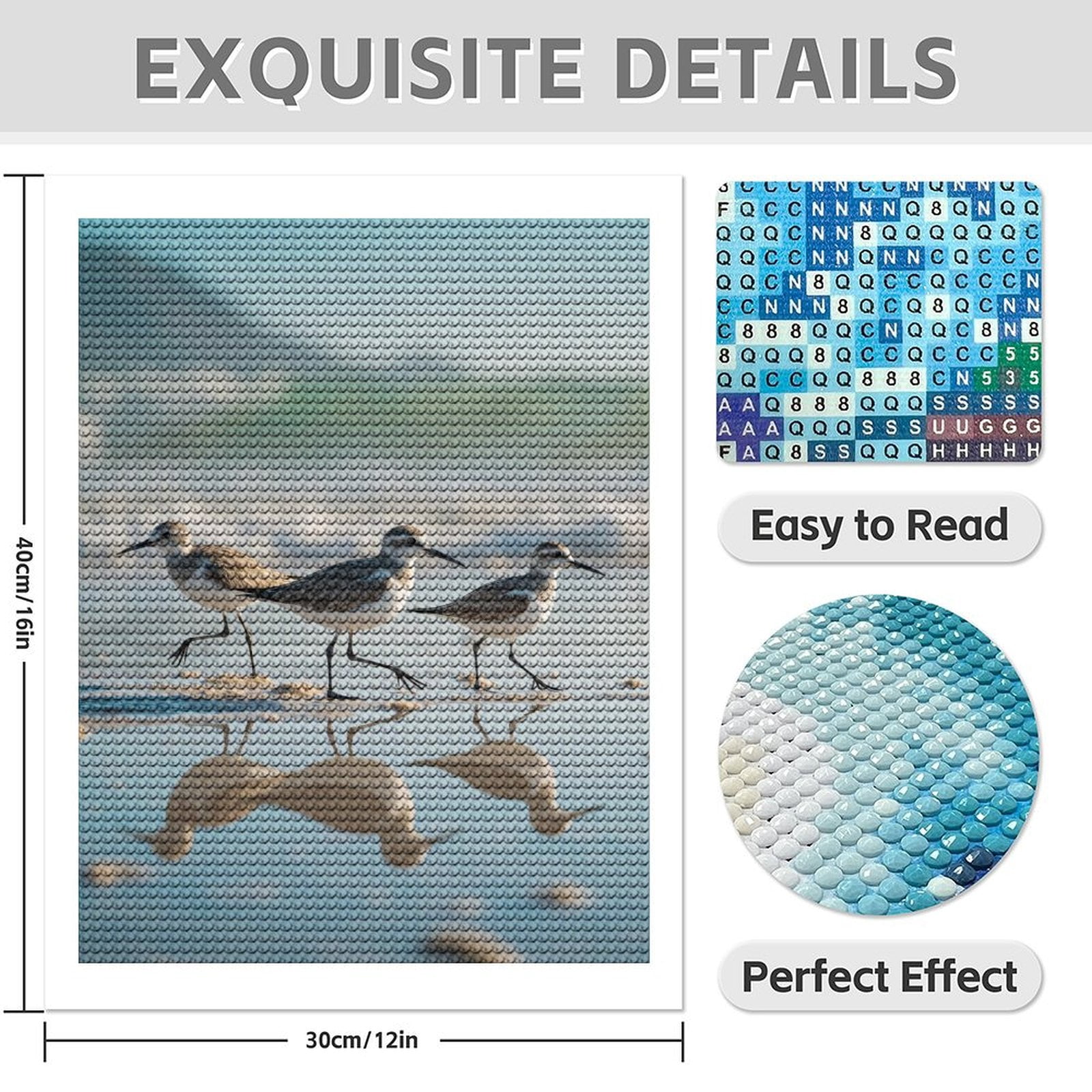 Diamond Art Kit for Adults, Shore Birds Reflection Beach Scene Diamond Painting for Adults Beginners, 5D DIY Diamond Art Painting Kits, Colorful Diamond Painting Craft for Home Decor 12x16