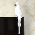 thumbnail image 3 of 3 Pieces Artificial Animal Feathers, Birds, Taxidermy, Garden, Home Decoration, 3 Colors, 3 of 7
