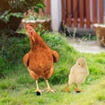 thumbnail image 2 of 2pcs Lifelike Acrylic Chicken Stake Decor Outdoor Garden Inserting Sign Yard Chick Stake Garden Layout, 2 of 8