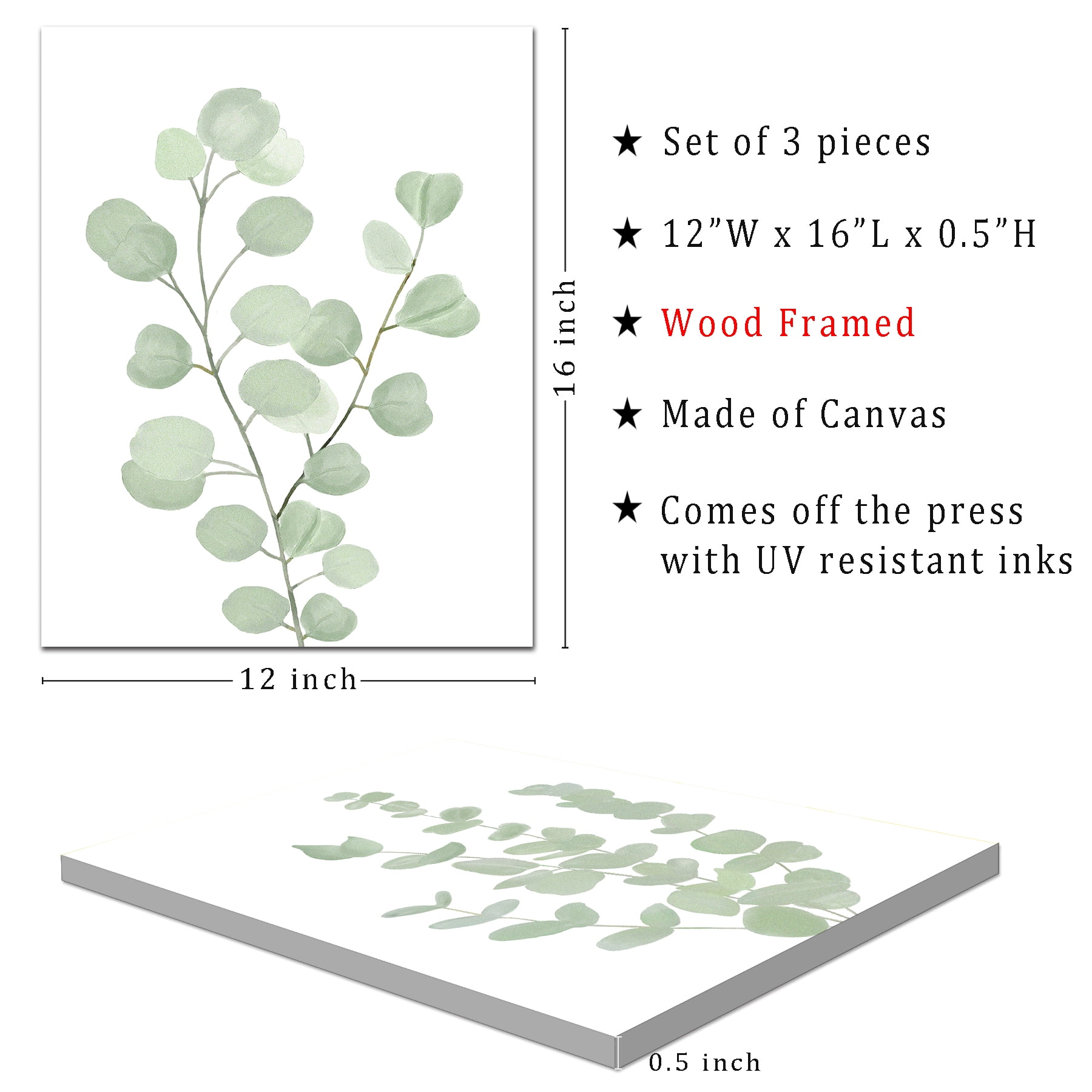 Botanical Plant Canvas Wall Art Boho Plant Wall Decor for Bedroom Floral Prints for Living Room Eucalyptus Leaf Picture