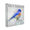 thumbnail image 3 of Stupell Industries Vivid Bluebird Standing Birch Tree Rustic Text Canvas Wall Art, 24 x 24, Design by Alpenglow Workshop, 3 of 5