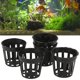 thumbnail image 1 of 10 Uds Vasos De Red, Cestas De Plástico Para Plantar Con Drenaje Para Decoración Del Hogar De Jardín De Peces Hidropónicos, 1 of 7