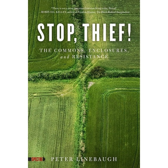 Spectre Stop, Thief!: The Commons, Enclosures, and Resistance, (Paperback)