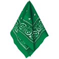 thumbnail image 1 of Amscan Bandana Accessoire de Fête Vert, 1 of 3
