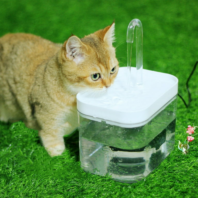 Filtered pet water fountain hotsell