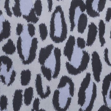 Snow Leopard
