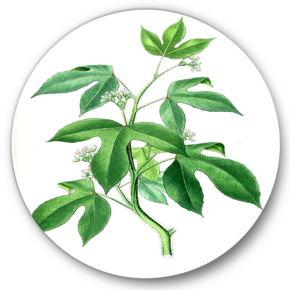 Designart 'Ancient Green Leaves Plants V' Traditional Circle Metal Wall Art 36x36 - Disc of 36