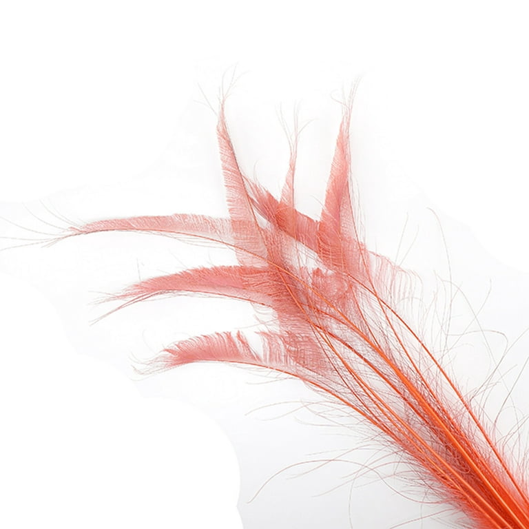 Red Feathers –  by Zucker Feather Products, Inc.