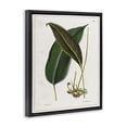 thumbnail image 3 of Stupell Industries Cottage Leaf and its Underside Study Black Floating Frame Canvas Art, 17 x 21, by Tina Higgins Designs Inc., 3 of 8