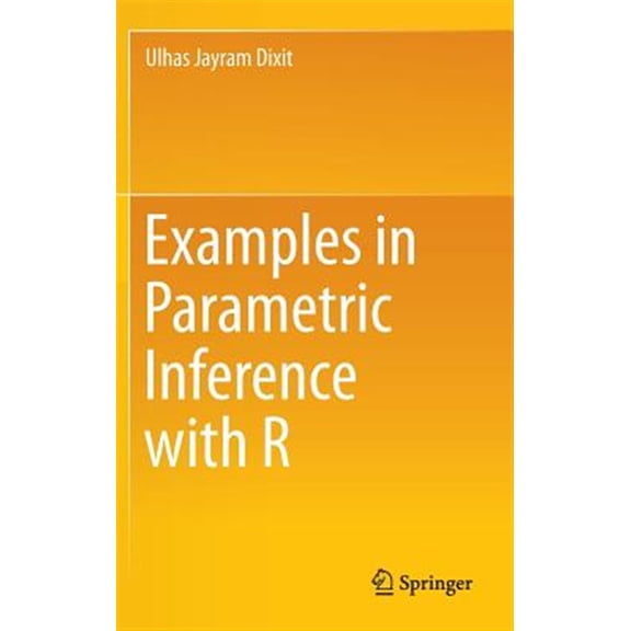 Pre-Owned Examples in Parametric Inference with R (Hardcover)