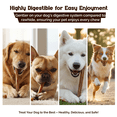 thumbnail image 4 of Beefeaters 12in Bully Sticks 6ct – All-Natural, Long-Lasting Dog Chews, Ideal for Large Dogs & Puppies, Promotes Oral Health, Digestible, No Additives, High Protein, Safe for Teething Puppies, 4 of 7