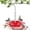red one, variant on Hummingbird Feeders for Outdoors Hanging with 30 Feeding Ports Humming Bird Feeder Bee-Proof Leak-Proof No Drip, Easy to Clean and Refill (red one)