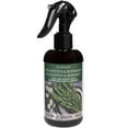 thumbnail image 1 of ScentSationals Room Spray - Eucalyptus & Rosemary, 1 of 3