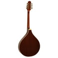 thumbnail image 4 of Gold Tone OM-800+ Octave Mandolin (Mahogany), 4 of 4