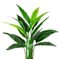 thumbnail image 3 of Northlight 4.25' Unlit Green Artificial Traveller's Tree with Black Pot, 3 of 7