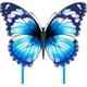 thumbnail image 1 of Cometas de mariposas Colorful Life de Blau Mint para niños y adultos, 1 of 3