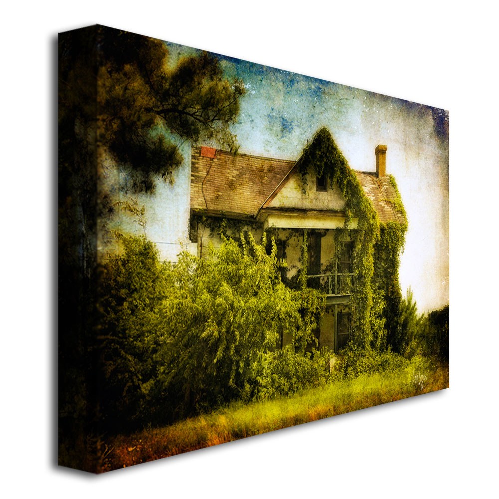 Trademark Fine Art "Ivy House" Canvas Wall Art by Lois Bryan