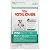 Royal Canin Starter Mother & Babydog Mini Small Breed Dry Dog Food, 15 lb