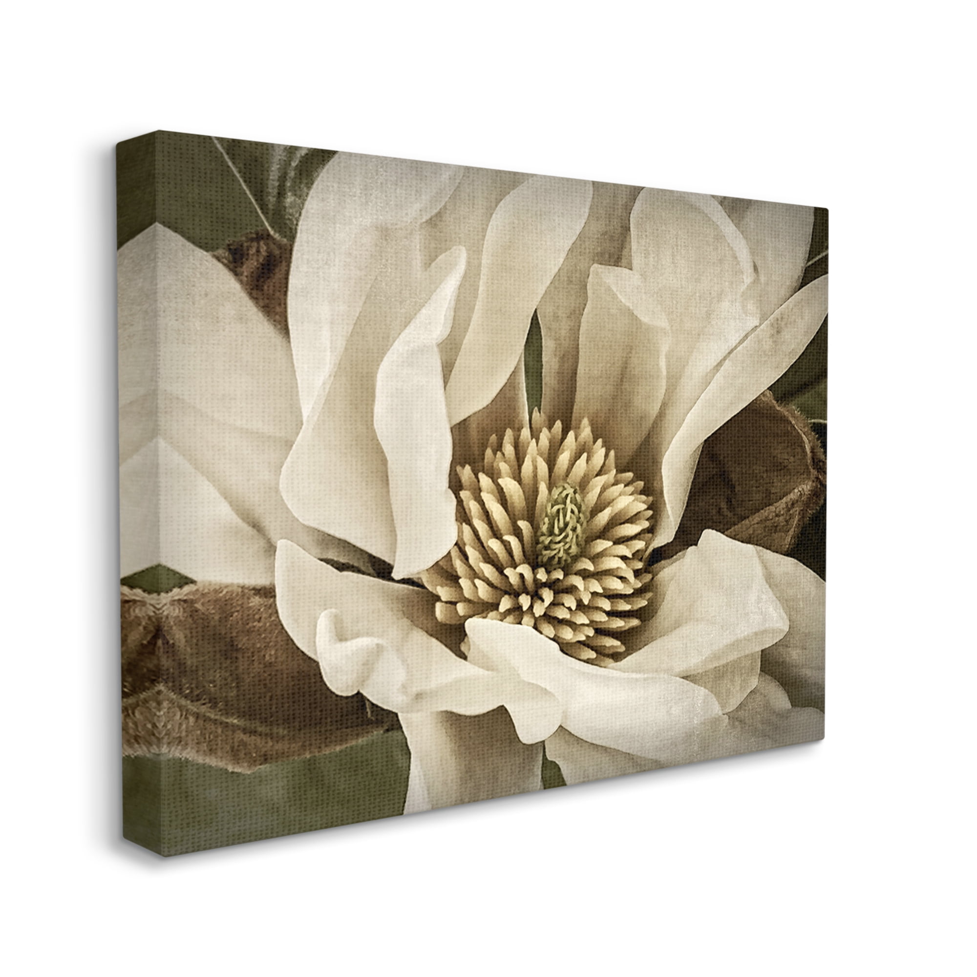 Stupell Industries Rustic Flower Close Up Botanical & Floral Photography Gallery Wrapped Canvas Art Print Wall Art, 40 x 30