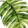 thumbnail image 3 of Miller, Melonie 12x12 Black Modern Framed Museum Art Print Titled - Tropical Palm II, 3 of 5