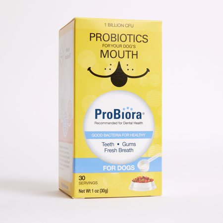 UPC: 0866863000331 | Probiotics for Your Dog s Mouth