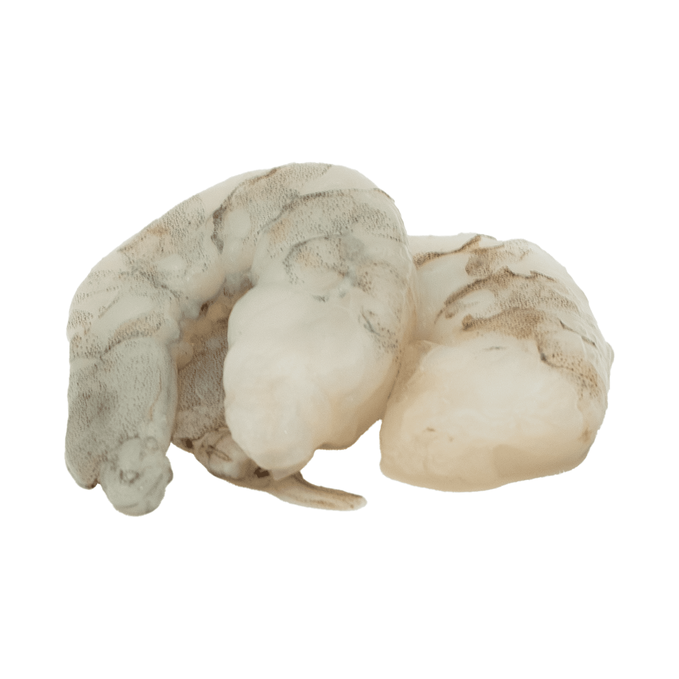Numar Seafoof, Raw Peel and Deveined Shrimp, Net Wt .32 (2 LB) 907G, Plastic bag