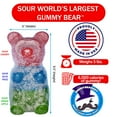  World Famous Gummy Bears (TM) Sour World's Largest Gummy Bear
