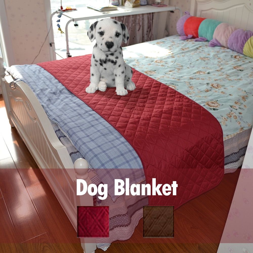 dog slip cover
